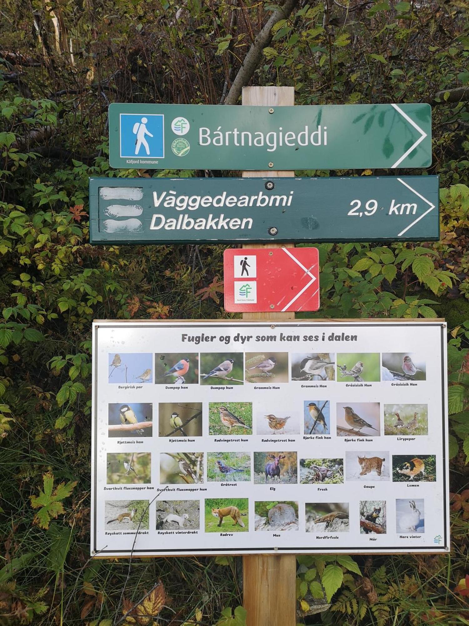 Best No1 Manndalen Exterior photo
